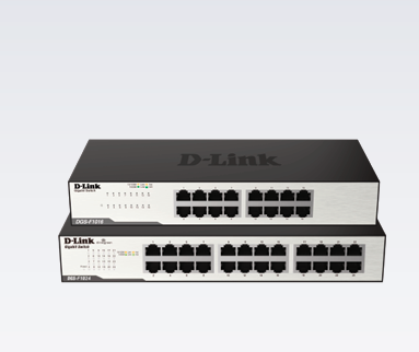 DGS-F1024
